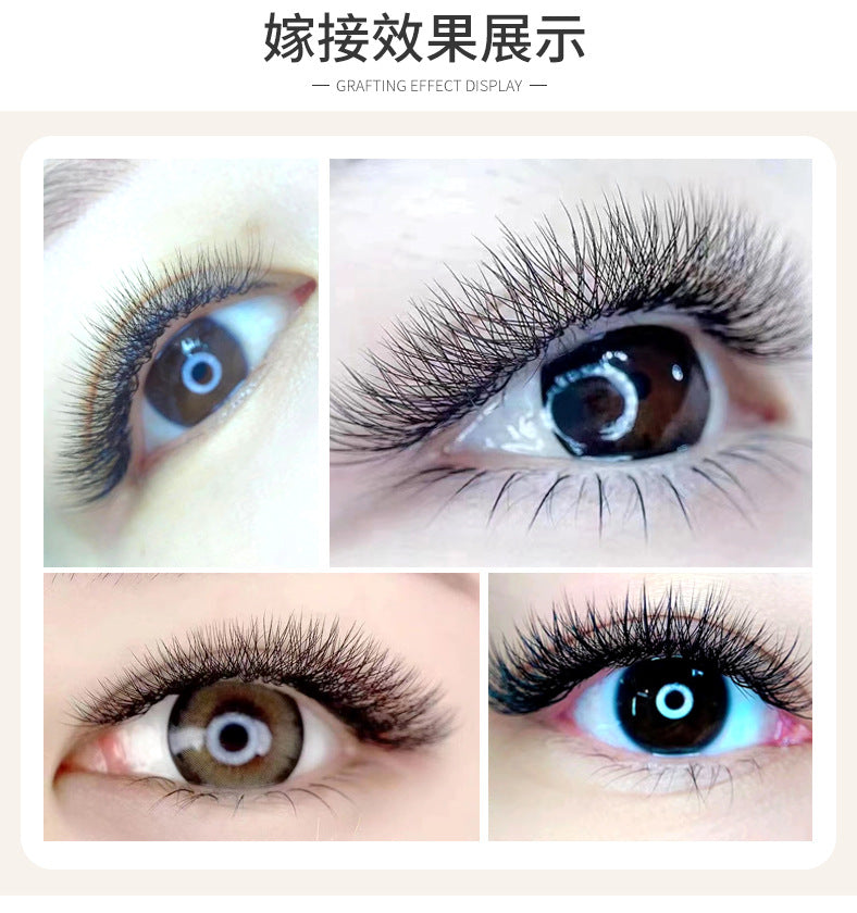 Cross-border European and American Eyelash 3D Dense Row False Eyelash Natural Curl Thick Flowering Clover Eyelash Shop Grafting Eyelash