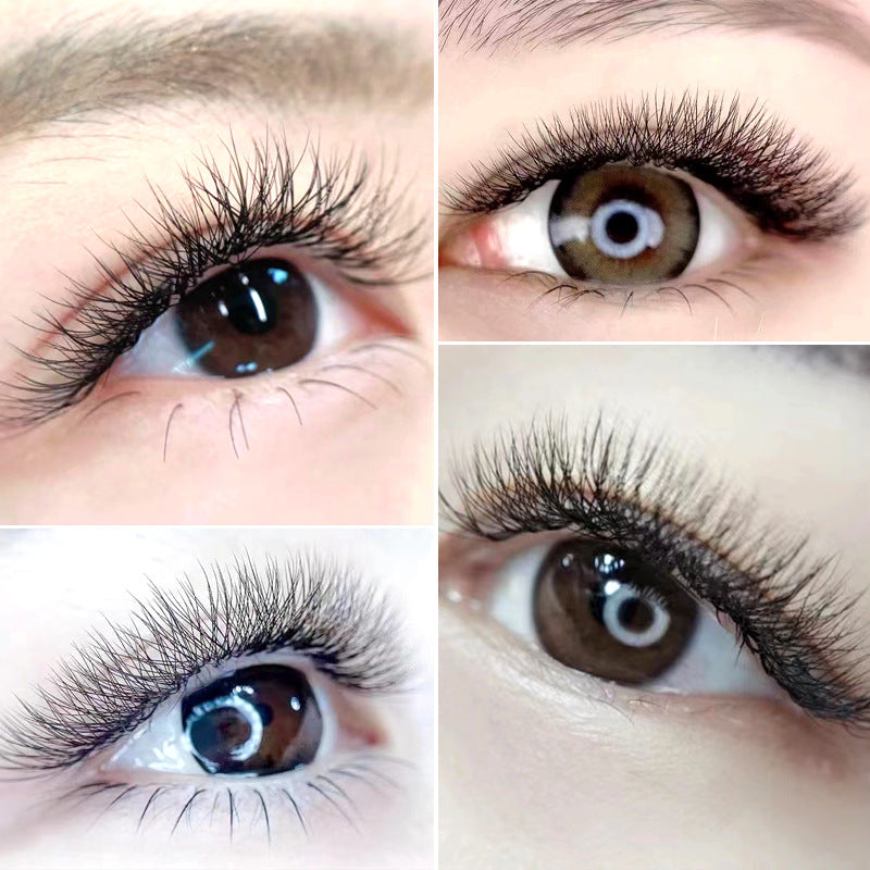 Cross-border European and American Eyelash 3D Dense Row False Eyelash Natural Curl Thick Flowering Clover Eyelash Shop Grafting Eyelash