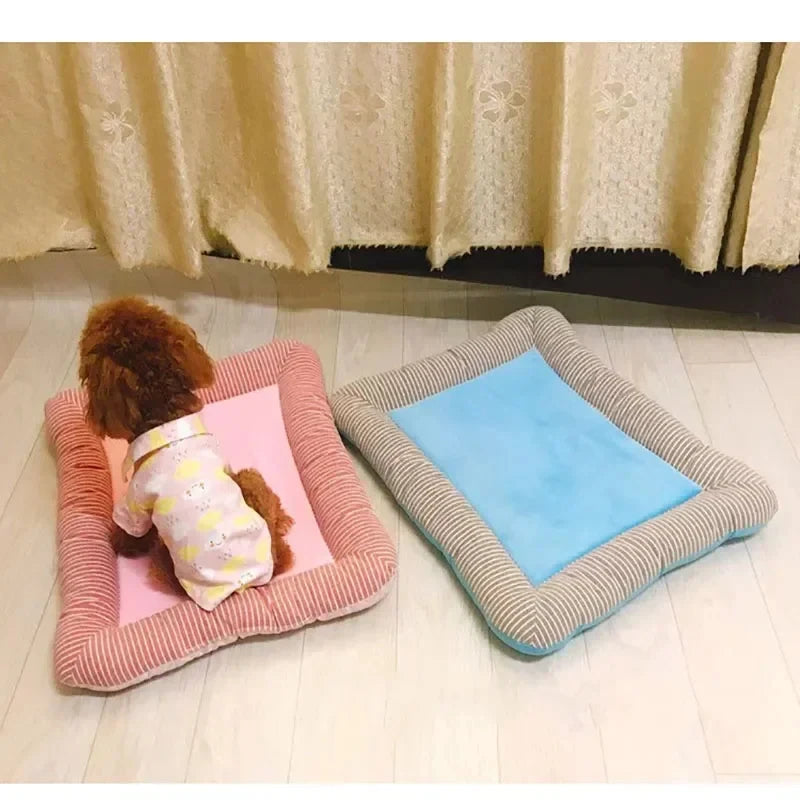 S3f71f1702739448188926270e25f11cb7